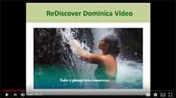 Reintroducing Dominica