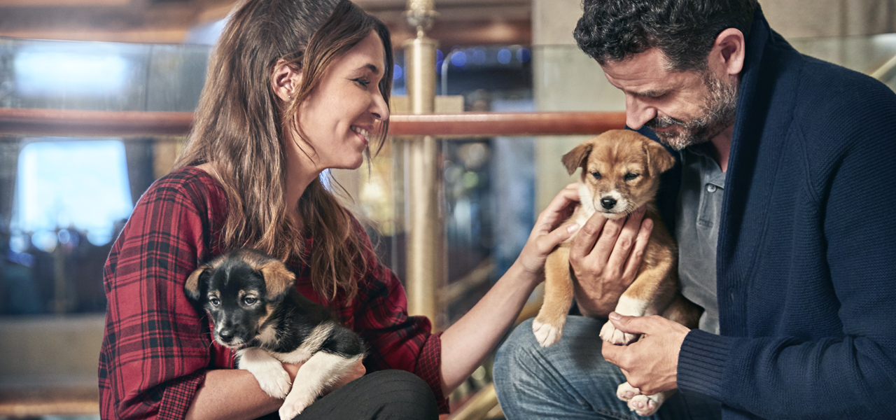 Image of couple with puppies in the Piazza