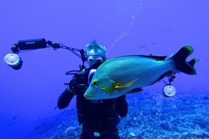 Sven-Olof Lindblad scuba diving, French Polynesia 2016