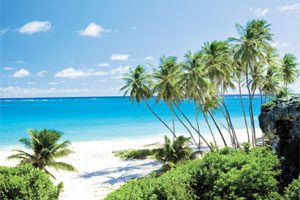 ACV Launches Agent-Dedicated YouTube Channel