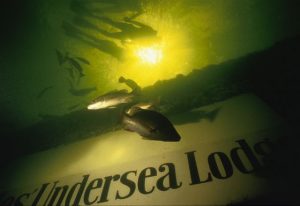 Jules’ Undersea Lodge marks 30 years