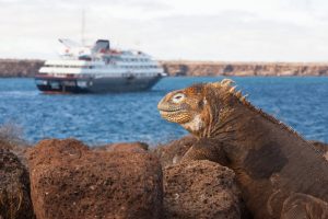 Silversea’s New Galapagos Itineraries Set Sail