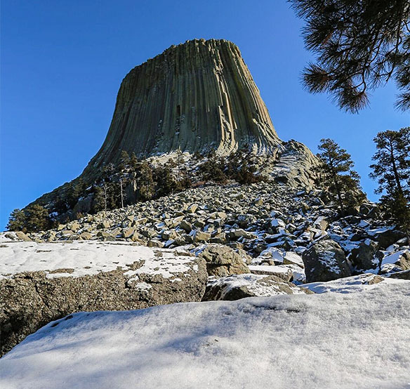 Real cowboys are ‘the only kind we have’