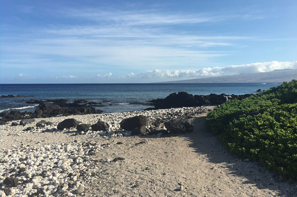 Hawaii Open For Business