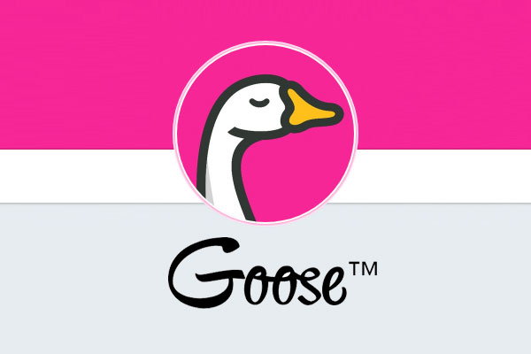 Goose Launches Mobile Travel Insurance App TravelPress