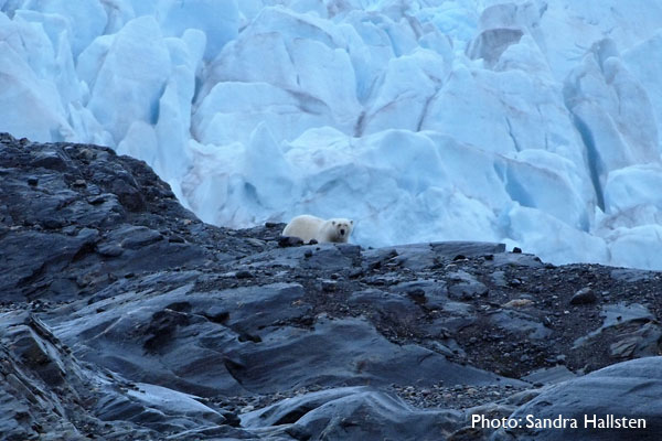 Travellers Invited to Spend the Night on a Glacier