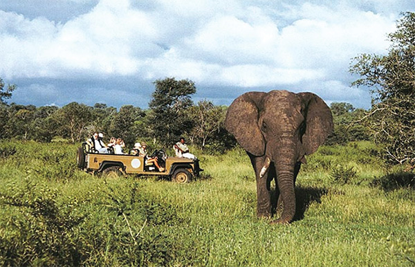 goway africa safari