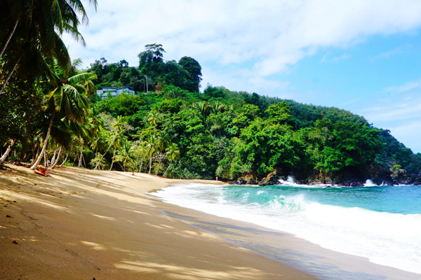 Sunwing Goes Back To Tobago