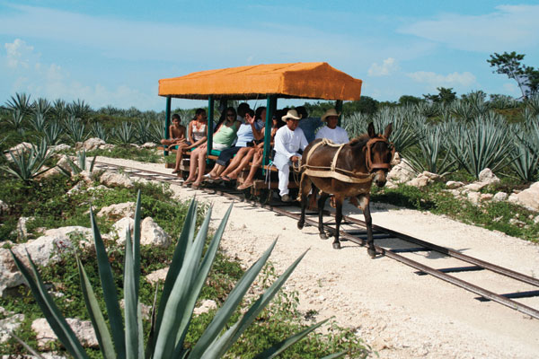 Bucketlist Worthy Yucatan