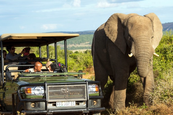 SAA Signs Up To Protect Wildlife