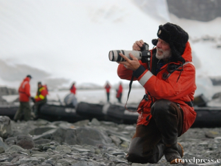 Antarctica Antarctica
