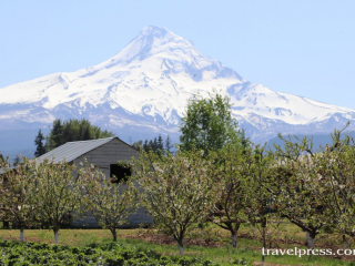 Oregon Mount Hood