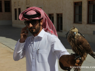 Qatar Doha falcon1