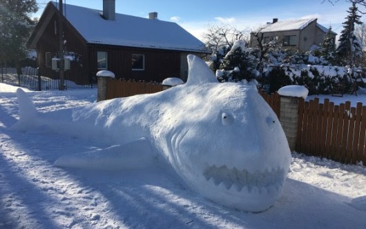 Snow Inspires Lithuania Travel