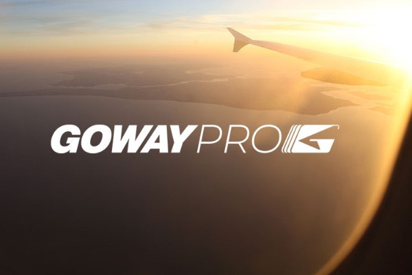 Agents Can Earn With GowayPro