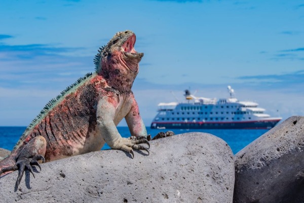 IGTOA Calls For Limits On Galapagos Tourism Following UNESCO Report