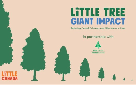 Little Canada, Tree Canada Make An Impact
