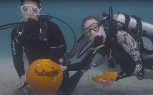 Florida Keys Carves Up Some Halloween Fun