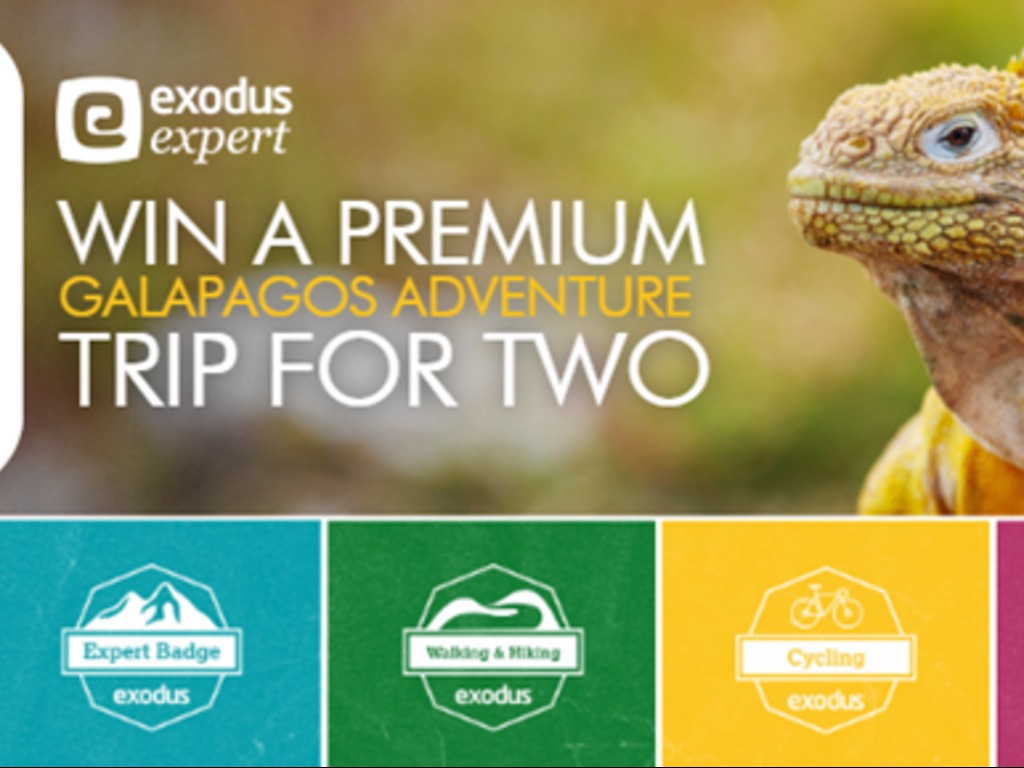 Agents Can Win With Exodus Travels
