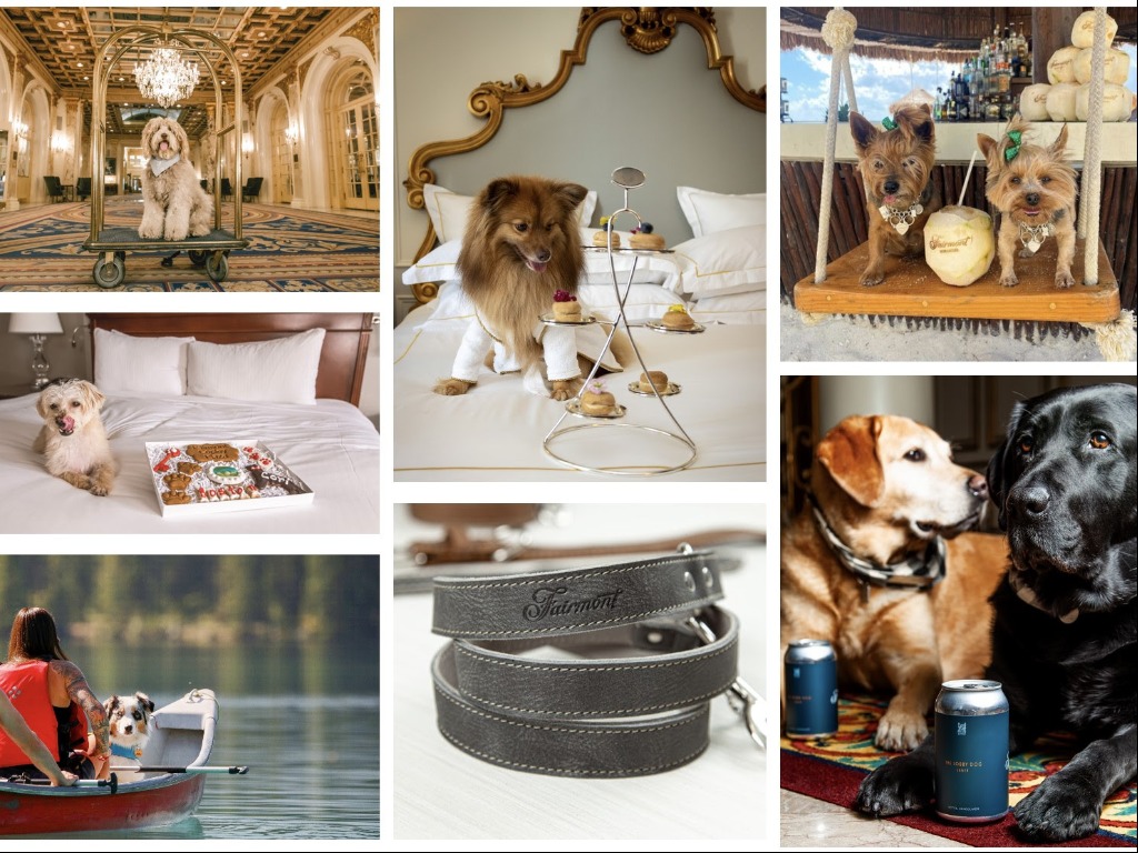 Fairmont Celebrates International Dog Day With Pup-Approved Packages