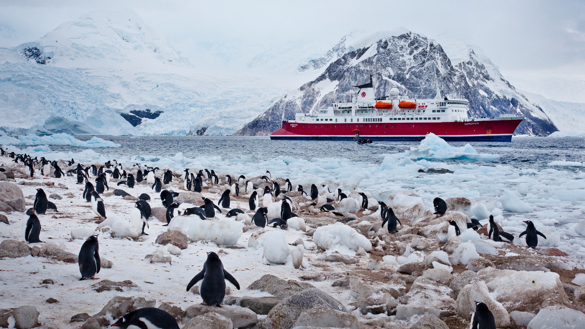 Save On Antarctica Trips With G Adventures
