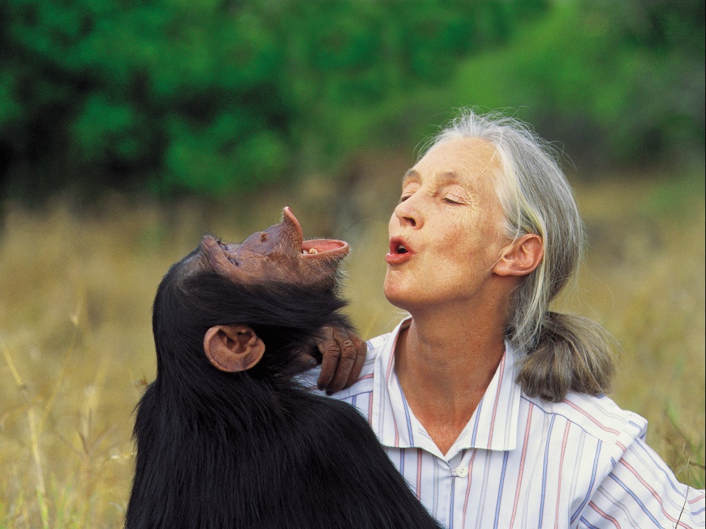 G Adventures expands Jane Goodall Collection