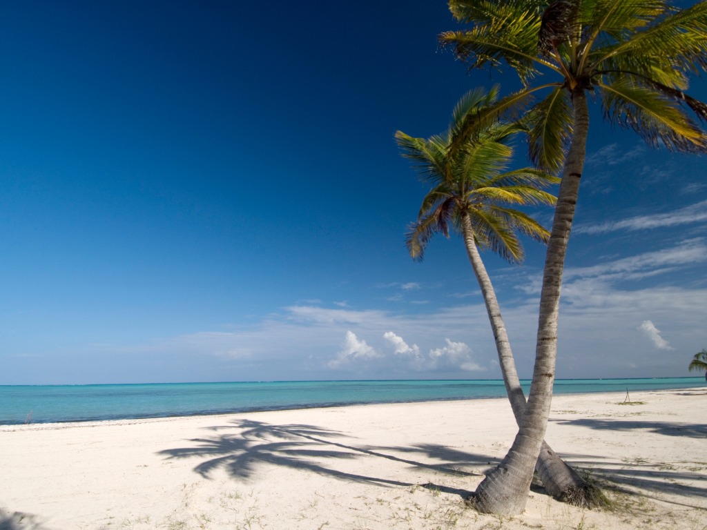 Sunwing reports strong operational performance for December 2024