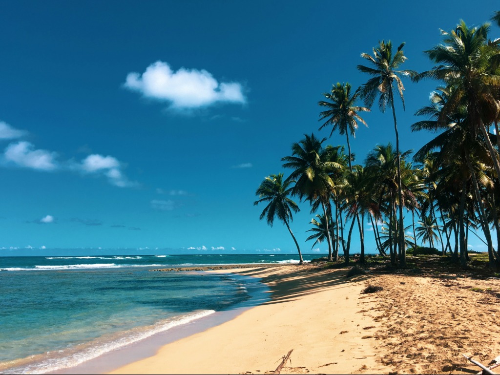 Hyatt Inclusive Collection expands with new Hyatt Vivid Punta Cana