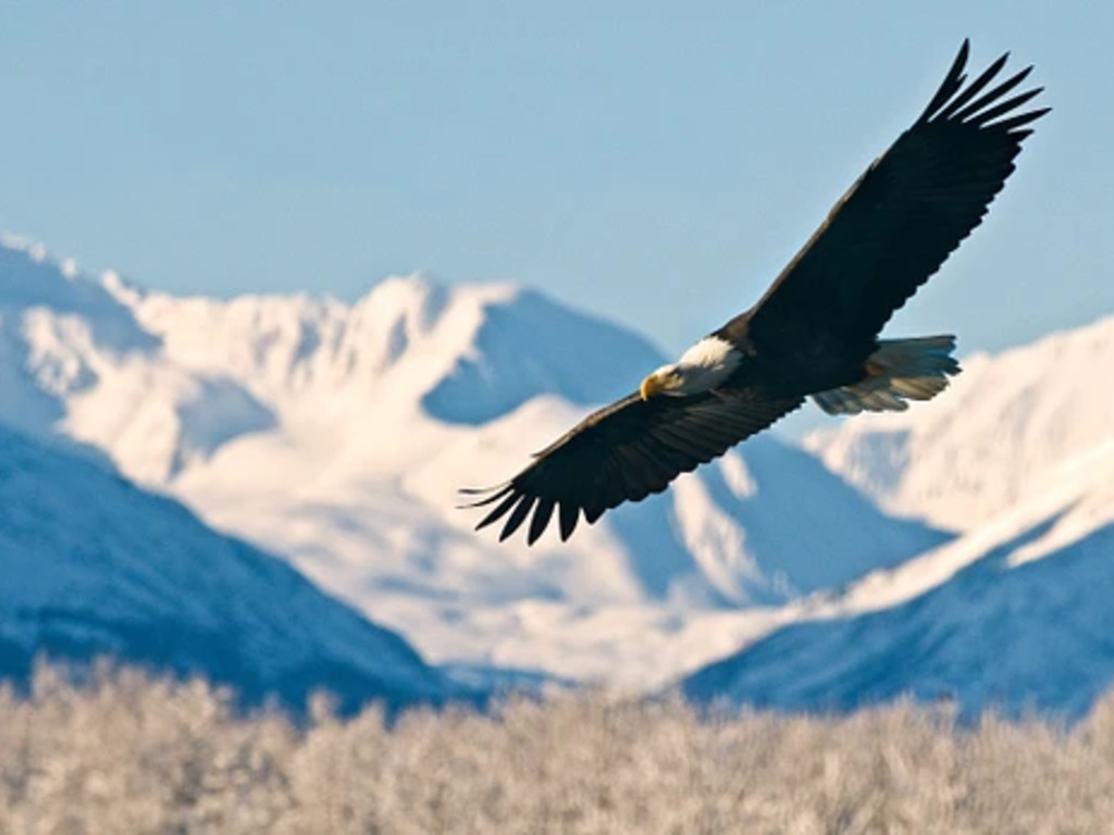 More cruises, enhanced cruisetours headline Holland America’s  2027 Alaska Season