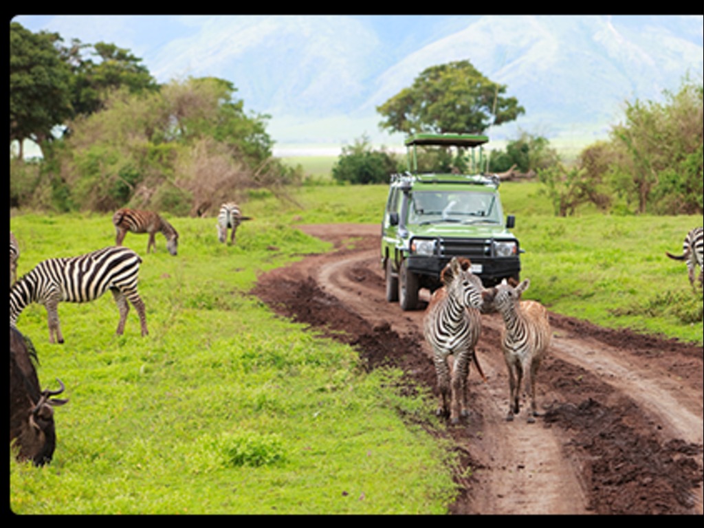 Goway heads West with Africa & Middle East event