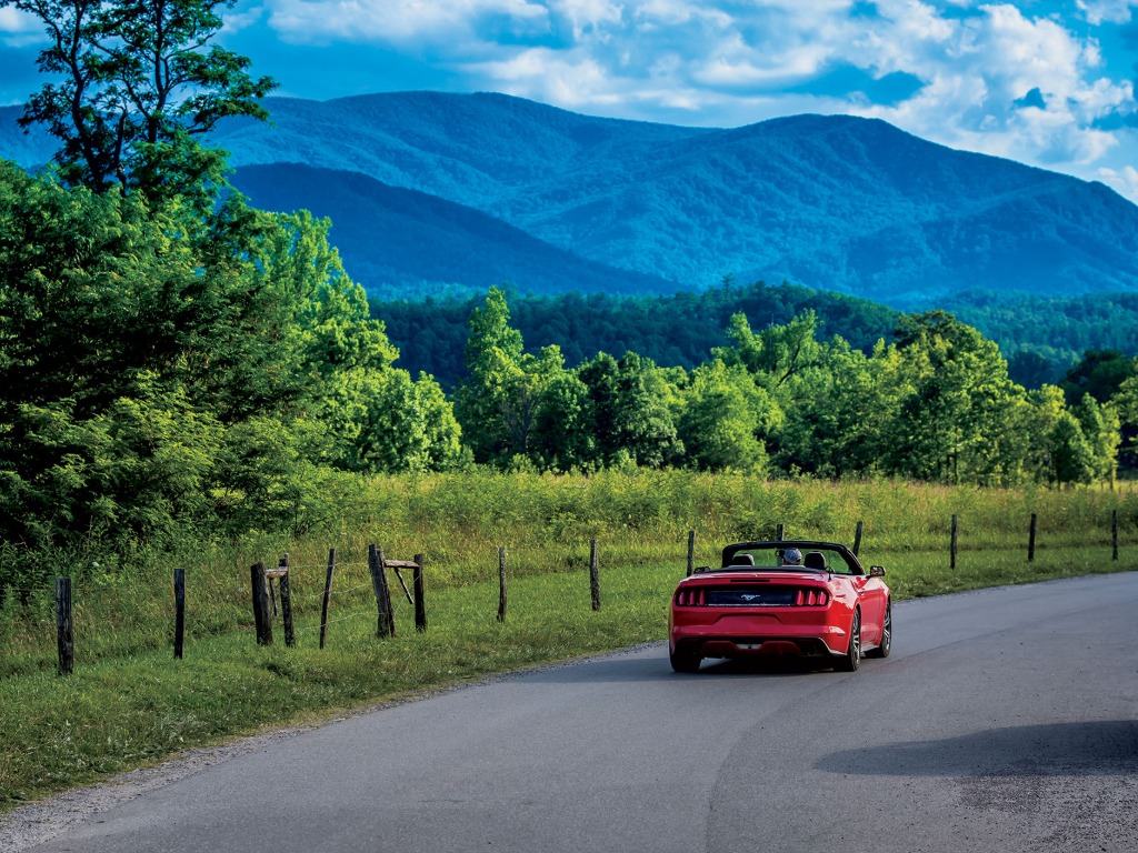 Travel South USA, HBX Group inspiring Canadians with new campaign