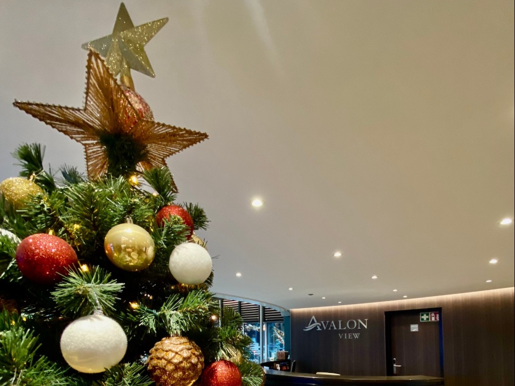 Avalon Waterways sails along making spirits bright