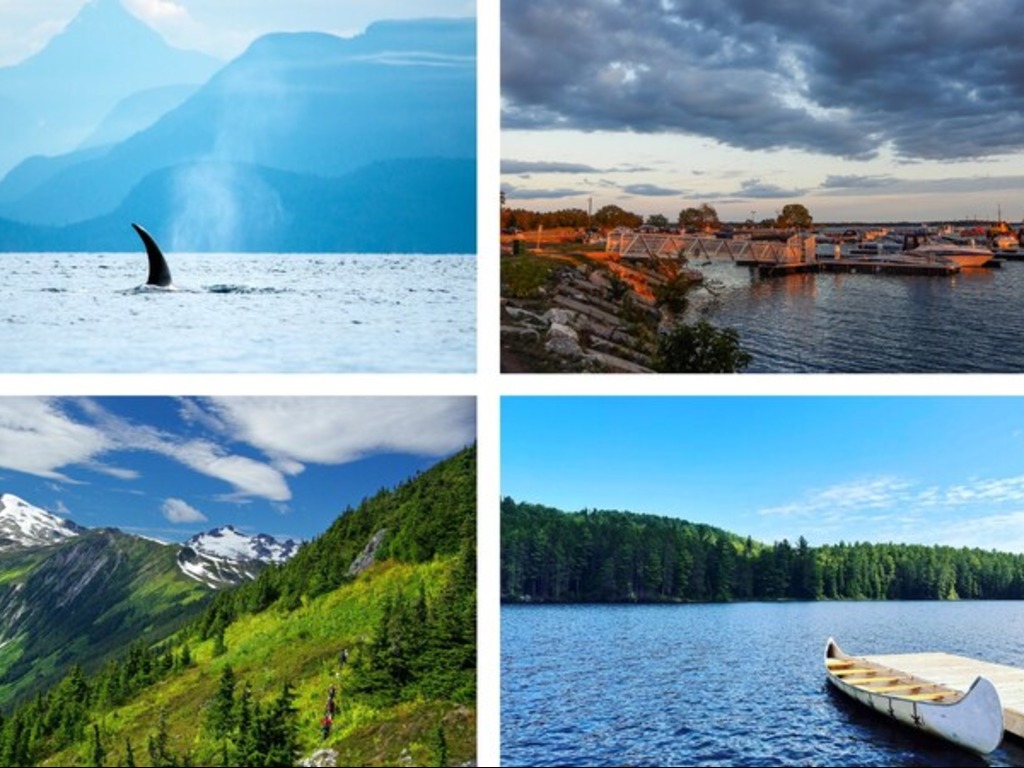 WestJet adds four new domestic flights for summer 2026