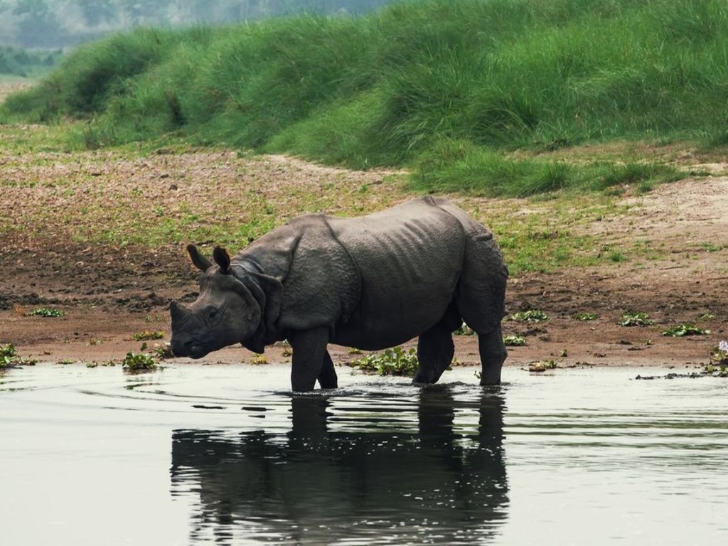 Contiki expands active trip offer with small group adventures in Nepal