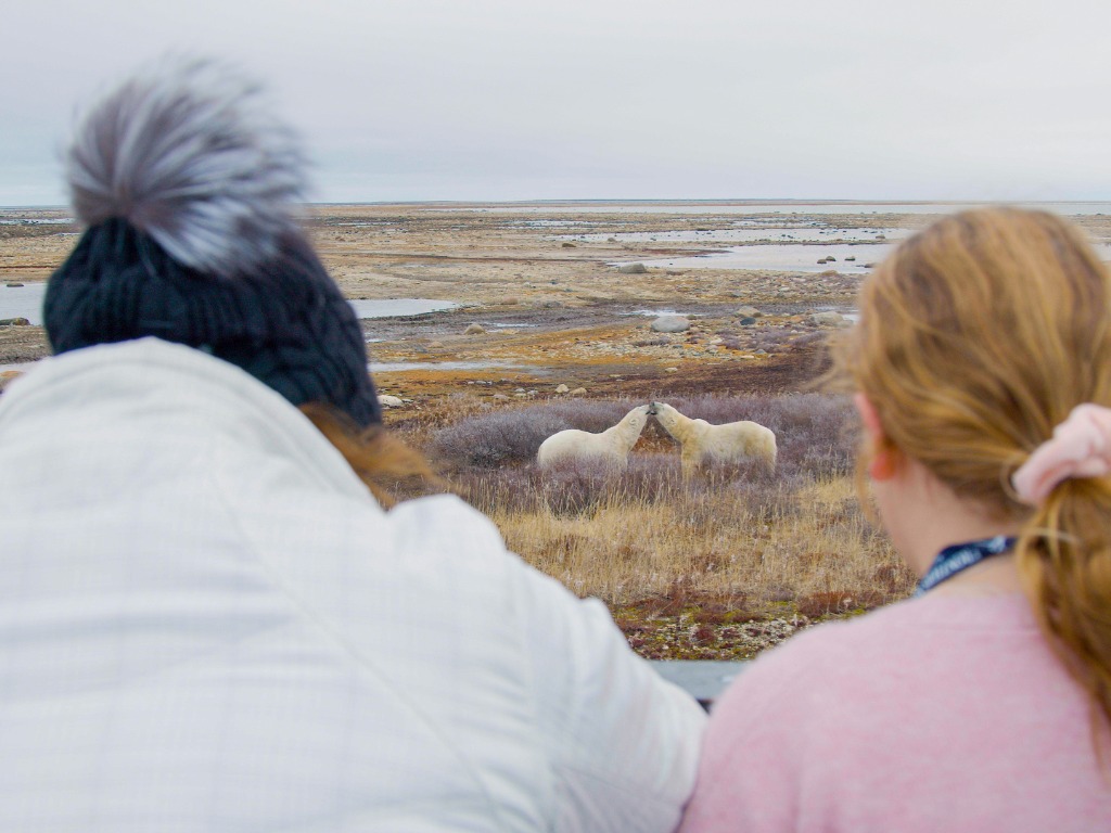 Frontiers North Adventures releases 2027 rates, dates and special Tundra Buggy Lodge Offers