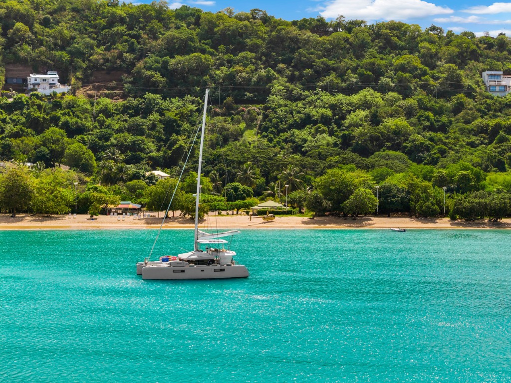Grenada streamlining visitor arrivals with online ED card platform