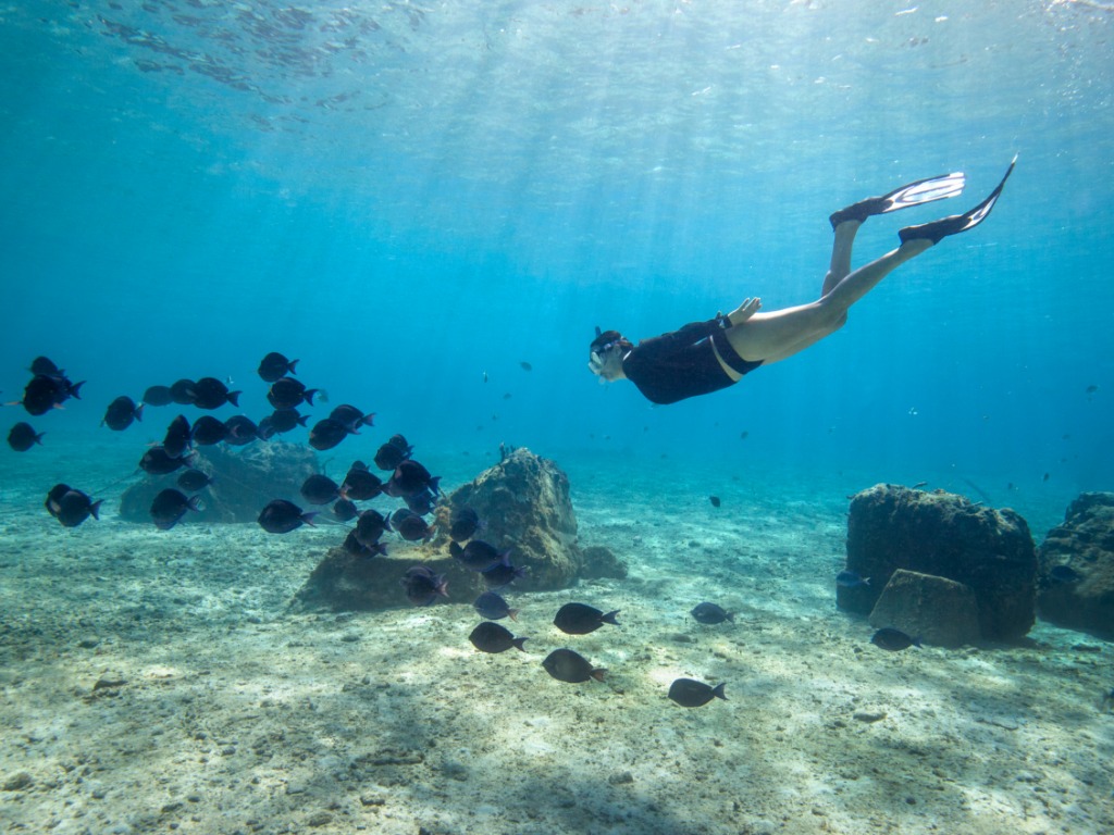 Sunwing, Vacances WestJet add Montreal-Cozumel offerings  