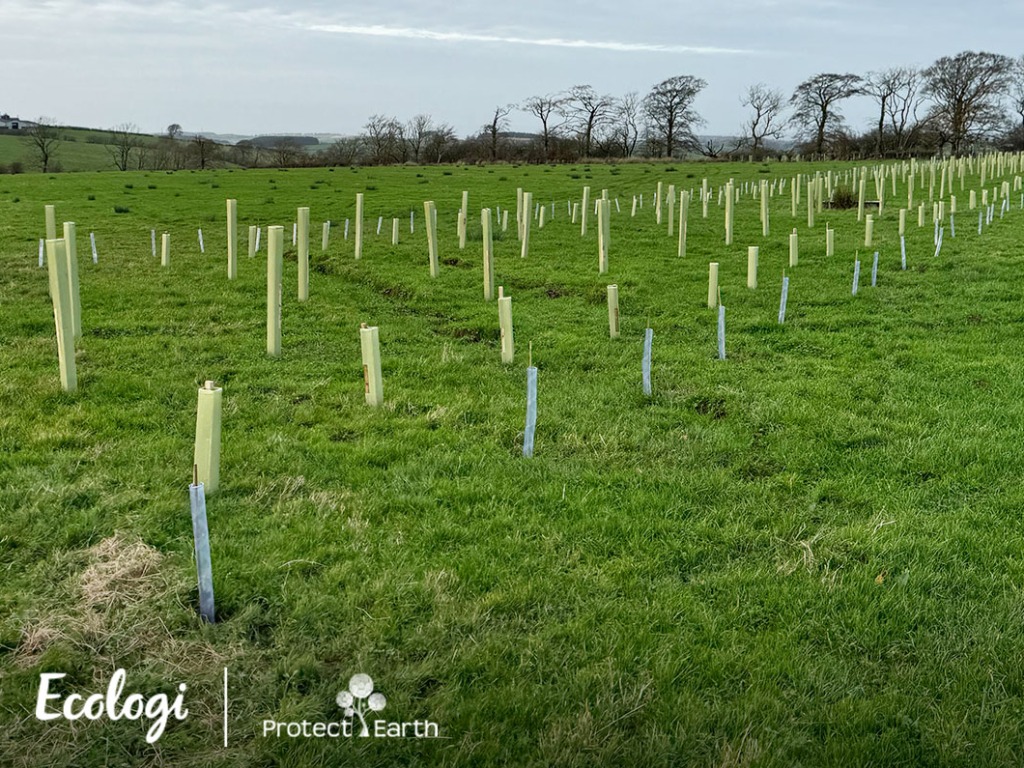 Collette enhances sustainability initiative with new experience